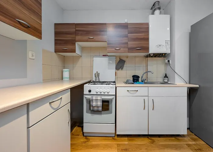 公寓 Trzebnicka Spacious By Bookinghost *